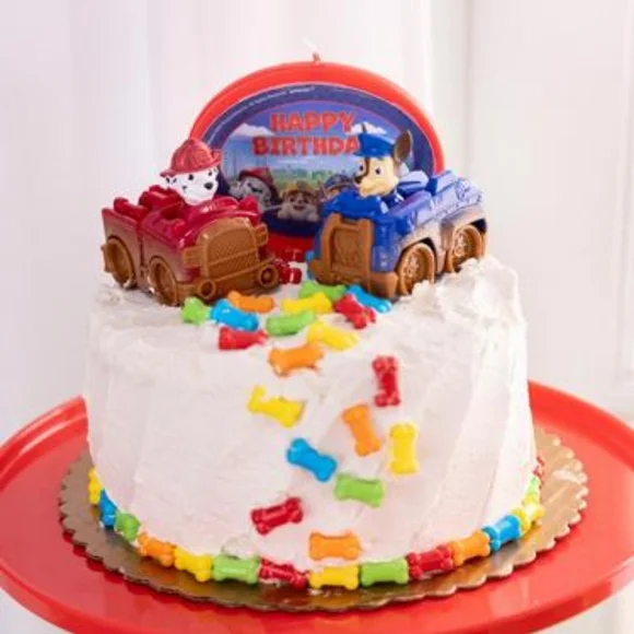 PAW PATROL Birthday Bundle NWT